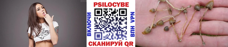 наркота  Верхоянск  Галлюциногенные грибы Psilocybe 